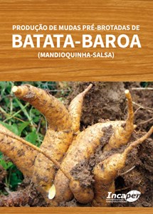 Logomarca - Produção de mudas pré-brotadas de batata-baroa (mandioquinha-salsa).