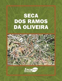 Logomarca - Seca dos ramos da oliveira
