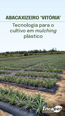Logomarca - Abacaxizeiro 'Vitoria' : tecnologias para o cultivo em mulching plastico.