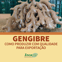 Logomarca - Gengibre: como produzir com qualidade para exportação