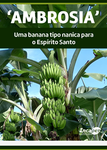 Logomarca - AMBROSIA : uma banana tipo nanica para o Espírito Santo