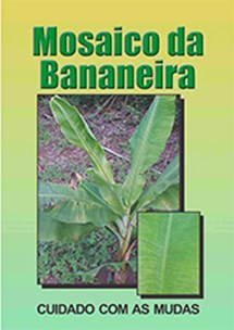 Logomarca - Mosaico da bananeira : cuidado com as mudas