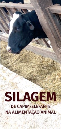 Logomarca - Silagem de capim-elefante na alimentação animal.