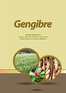 Logomarca - Gengibre