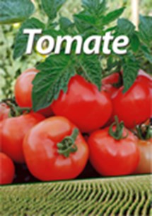 Logomarca - Tomate