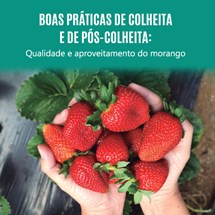 Logomarca - Boas práticas de colheita e pós-colheita : qualidade e aproveitamento do morango.