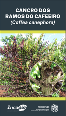 Logomarca - Cancro dos ramos do cafeeiro (Coffea canephora)