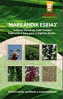 Logomarca - 'Marilândia ES8143'