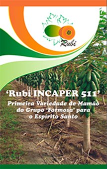 Logomarca - 'Rubi Incaper 511': primeira variedade de mamão do grupo 'Formosa' para o Espírito Santo