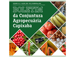 BOLETIM CONJUNTURA CAPA SITE