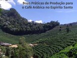 Folder e cartilha de café arábica