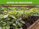 capa_mudas_de_abacateiro_incaper