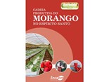 morangocapa-