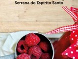 BRT-framboesa-Incaper-1
