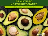CAPA_CULTIVARES-1